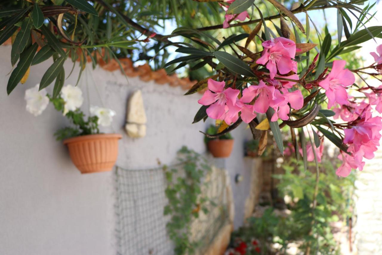 Apartment Sole بوريتش المظهر الخارجي الصورة
